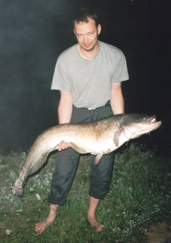 Wels, 148cm, 21.5kg, gefangen von Andreas Bäthge im Juni 2003